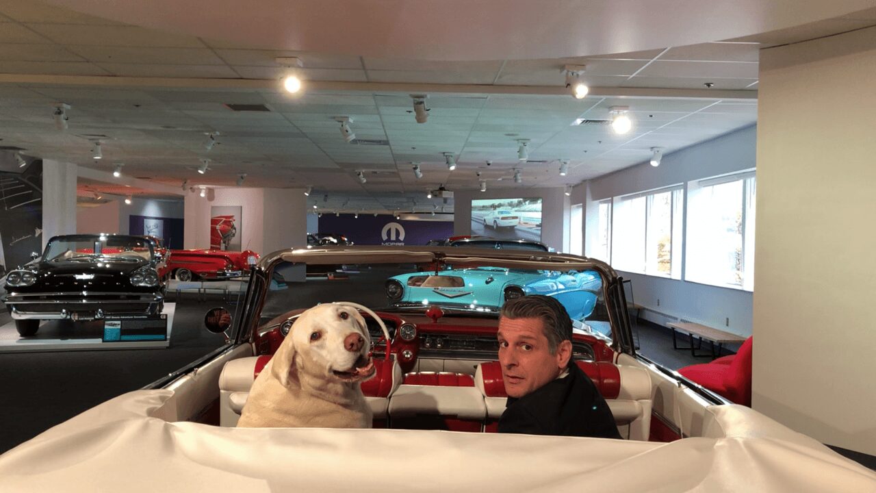 Man and dog sitting in a classic car's backseat.