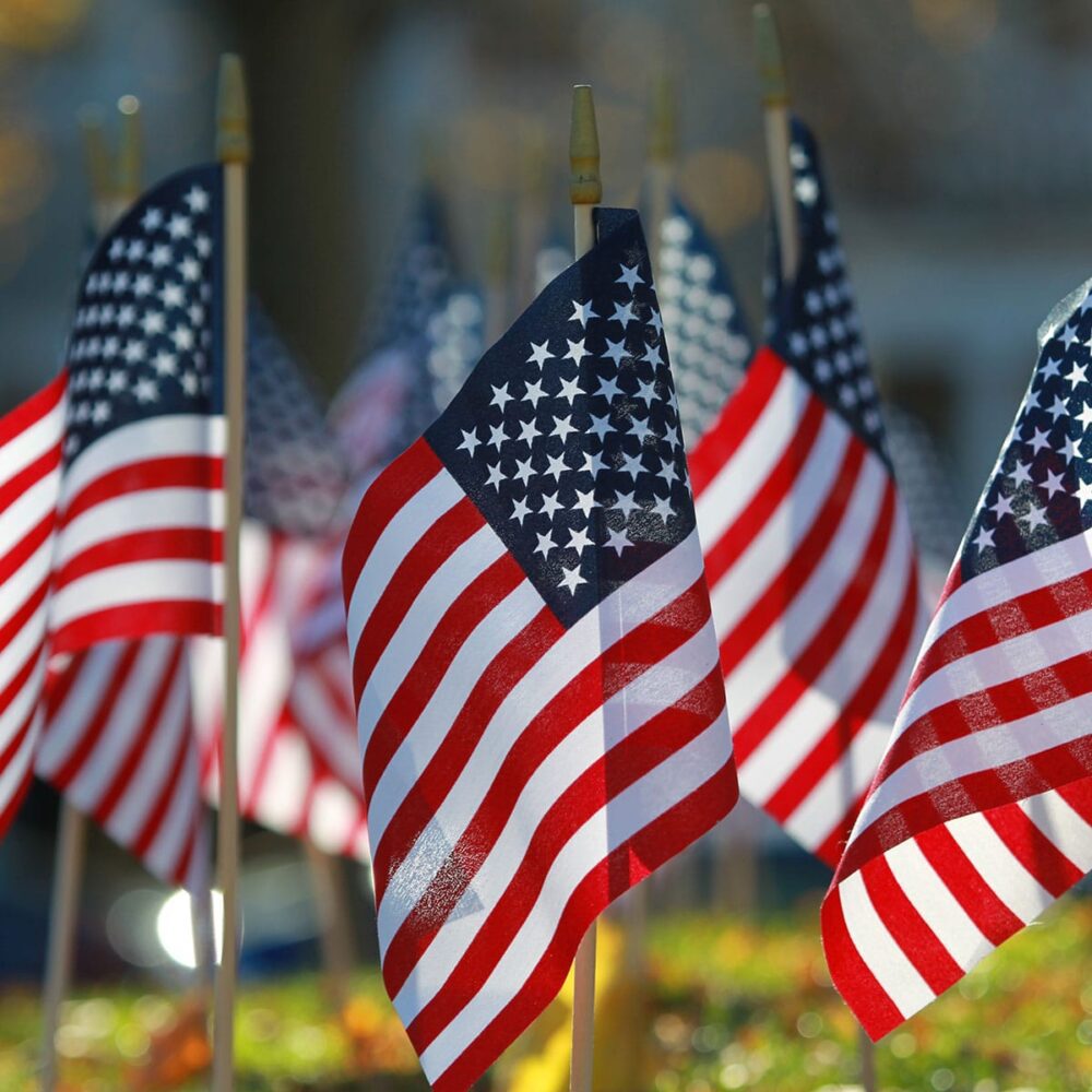Rows of American flags fluttering outdoors.